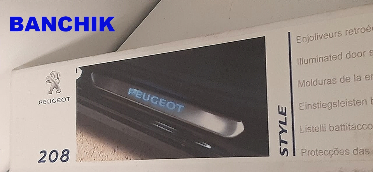 PROTECTOR DE MARCO DE ENTRADA DE PUERTAS DELANTERAS CON LED