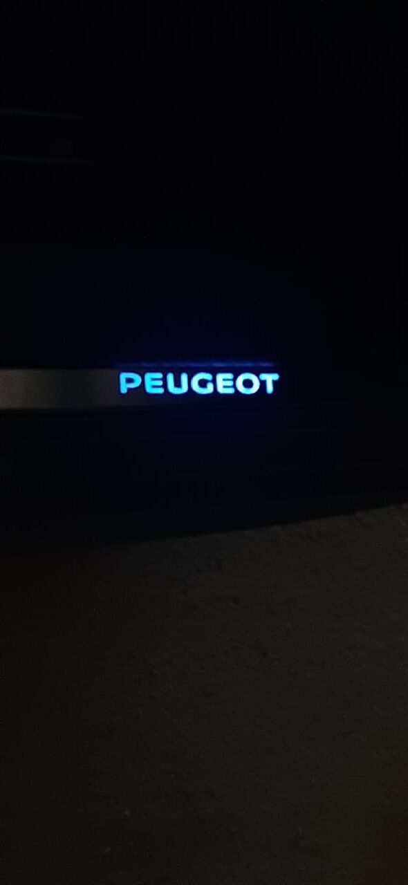 PROTECTOR DE MARCO DE ENTRADA DE PUERTAS DELANTERAS CON LED