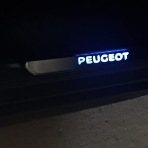 PROTECTOR DE MARCO DE ENTRADA DE PUERTAS DELANTERAS CON LED (copia)