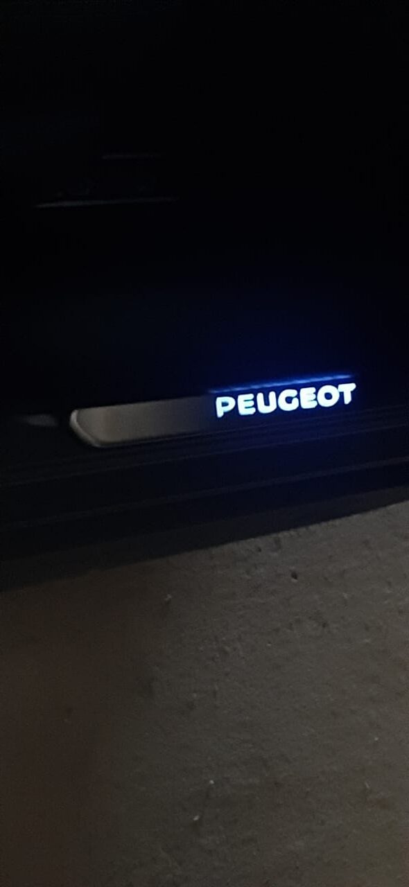 PROTECTOR DE MARCO DE ENTRADA DE PUERTAS DELANTERAS CON LED